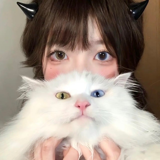 科技频道头像